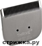   0,5   Thrive 305/605